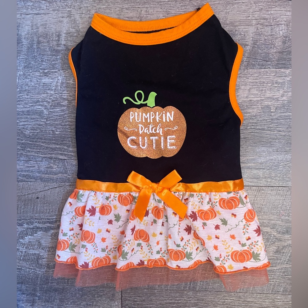 Frisco Dog Pumpkin 🎃 Patch Dress
